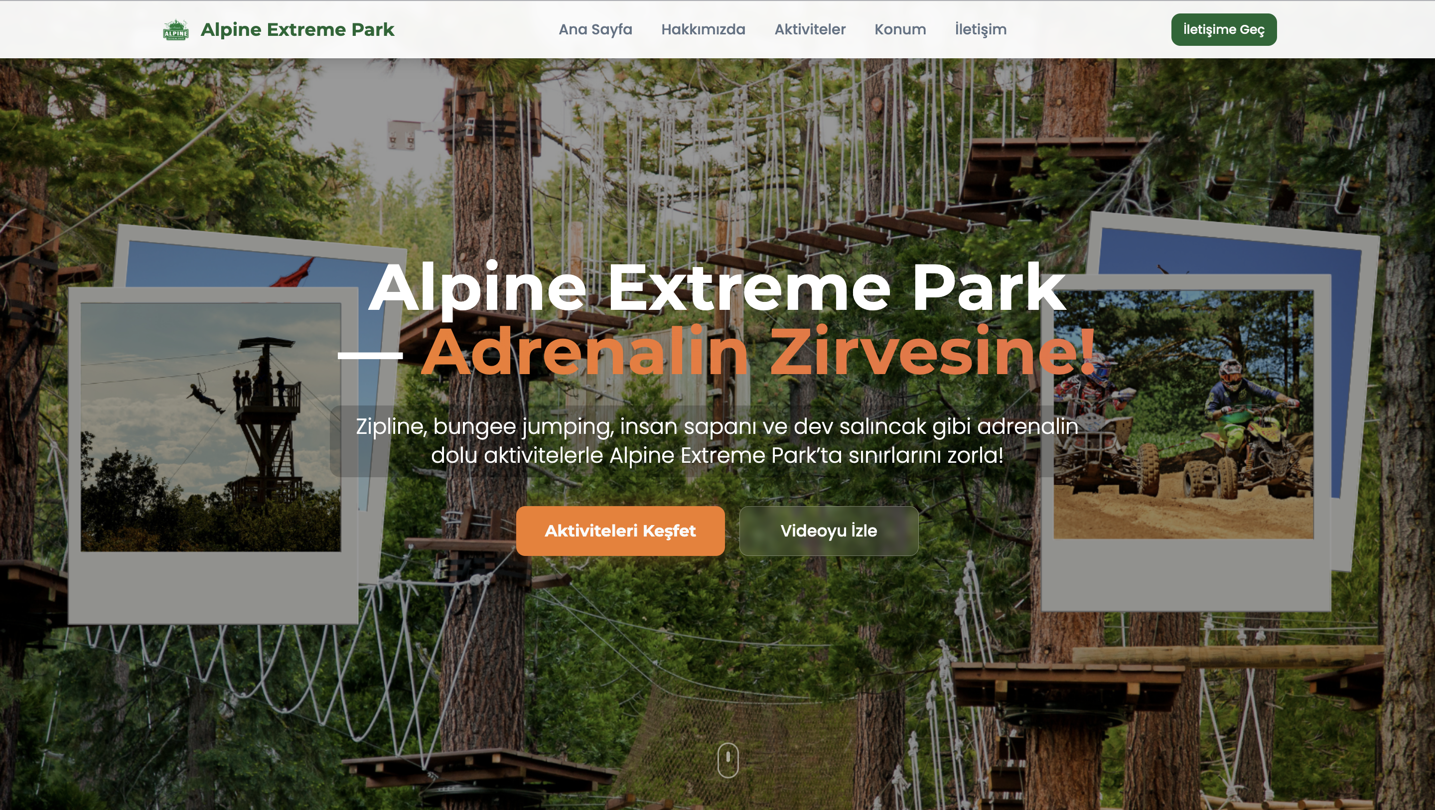 Logo & Marka Kimliği ve Web Tasarım